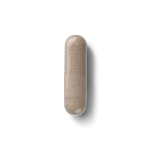 Vibrant Mind – Suplemento Cerebral Nootrópico para Memória e Concentração – Com Bacopa, Ginkgo Biloba, Centellin – 60 cápsulas - Natura Health Products