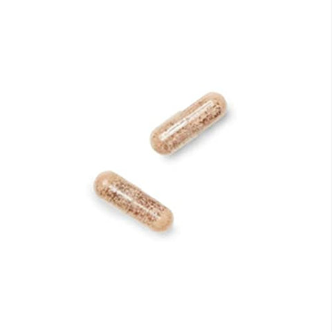 Gentlesorb Ferro 18mg | Essencial para a Formação Adequada de Células Vermelhas do Sangue | Fórmula Suave | 90 Comprimidos - GNC