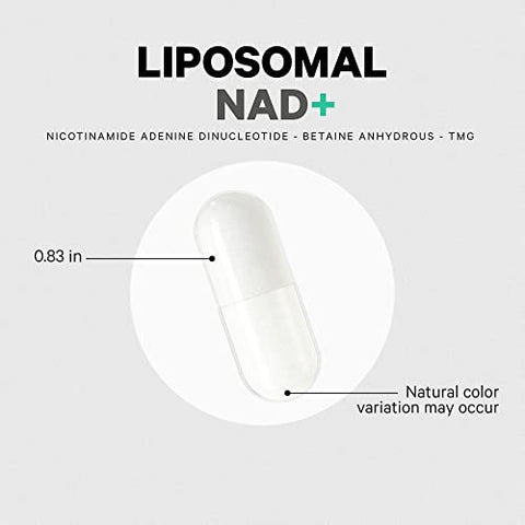Liposomal NAD – Suplemento de NAD Nicotinamida Adenina Dinucleotídeo – 500 mg por Porção - Codeage