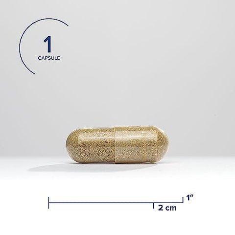 Optimal Iron – Suporte ao Metabolismo de Ferro | 60 cápsulas | 30mg de Ferro por dose | Aumenta a Absorção de Ferro | Marca Seeking Health - Seeking Health