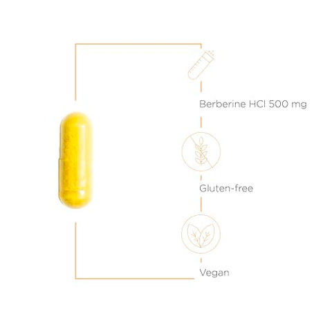 Berberine – 1000-1500 mg Diários – Suplemento Berberine HCL para Suporte Metabólico – Livre de Glúten - Integrative Therapeutics