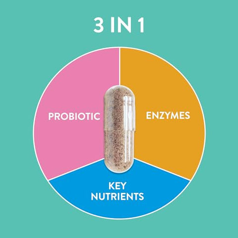 FR!SKA - FRISKA – Suplemento Enzimático e Probiótico Diário para Mulheres, Suporte Natural Avançado para Saúde Digestiva Feminina, Combate ao Inchaço, Facilita a Digestão, Suporta Nutrientes – 60 cápsulas
