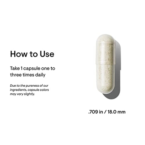 THORNE - Thorne Ferrasorb – Fórmula Completa de Suporte Sanguíneo com 36 mg de Ferro e Nutrientes Essenciais – Ferro Elemental, Ácido Fólico, Vitaminas B e C para Absorção Ótima – Livre de Glúten – 60 cápsulas