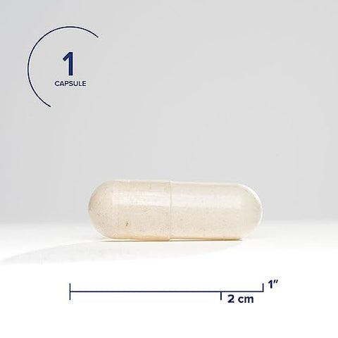 PQQ Lozenge – Suporte Energético | 60 comprimidos | 20mg PQQ | Antioxidante Potente - Seeking Health