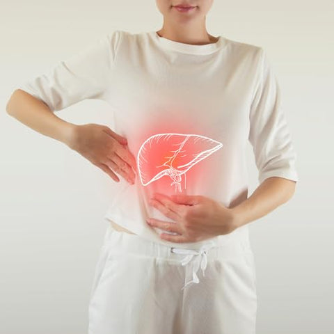 Alkaline Care - Hephatic Care 500ml – Suplemento Desintoxicante Alcalinizante para o Fígado