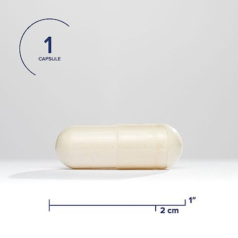 Magnesium Plus – Fórmula com Vitamina B6 – Malato de Magnésio | 100g - Seeking Health