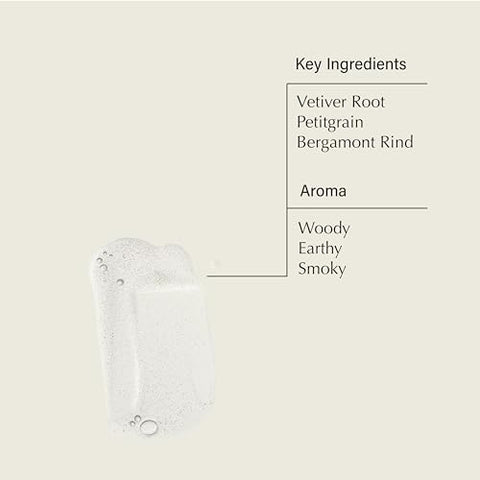 Reverence Aromatique Hand Wash – Limpeza e Esfoliação das Mãos – Com Extratos Botânicos e Pó de Pedra-pomes – 500 ml - Aesop