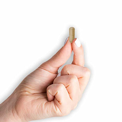 Ginkgo Biloba – Melhore a Alerta Mental, Suporte para Função Cerebral Ótima, Suplemento Herbal, 60 Cápsulas (Pacote com 3) - MASON NATURAL