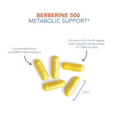 Berberine 500mg – Suporte Metabólico Multifacetado, Colesterol Saudável, Raiz de Barberry Indiana, Cápsulas Vegetarianas – 90 cápsulas - Allergy Research Group