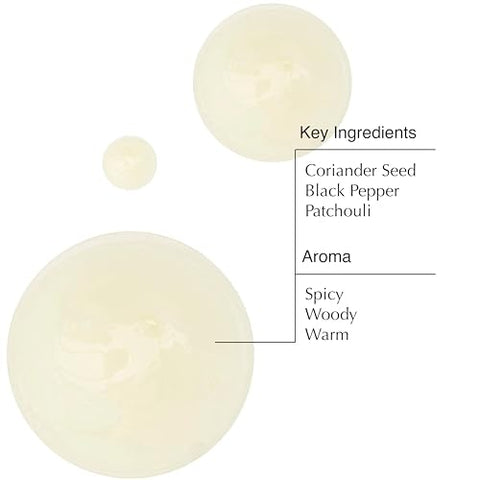 Coriander Seed Body Cleanser – Gel de Limpeza Corporal Rico em Aroma, Baixa Formação de Espuma – 500 ml - Aesop