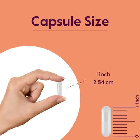 L-Glutamina 1000mg por Cápsula (240 Cápsulas) – Forma Livre – Sem Estearatos – Sem Preenchedores – Livre de Glúten – Não Transgênico – Suplemento Puro de L Glutamina – Máxima Força Glutamina - BESTVITE