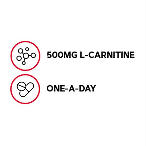 Gentlesorb Ferro 18mg | Essencial para a Formação Adequada de Células Vermelhas do Sangue | Fórmula Suave | 90 Comprimidos - GNC