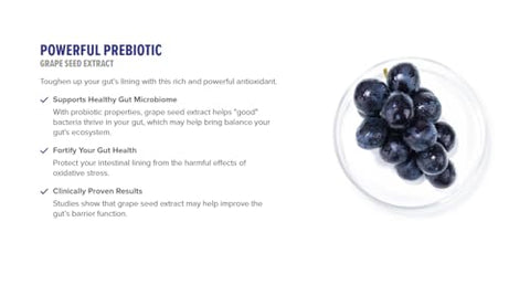 InnoSupps - Inno Gut Protect GS1 Probiótico – Proteção Avançada para o Intestino