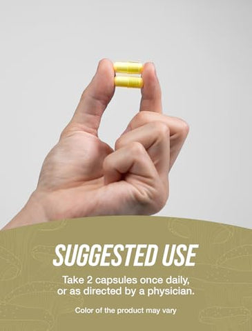 com Cápsulas de Extrato de Cogumelo Chaga – Extrato de Chaga, Cápsulas de Cogumelos Chaga – Vegano - BulkSupplements