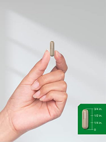 Cápsulas de Equinácea e Hydrastis | 1400mg | 300 Unidades | Vegetariano, Não-OGM, Livre de Glúten | Extrato de Suplemento - Horbäach