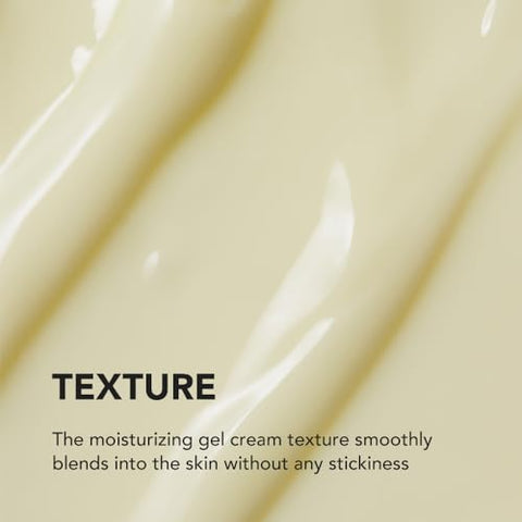 SKIN & LAB SKIN SCIENCE SOLUTION - SKIN – Creme Hidratante Facial 50g  Líder em Cuidados com a Pele