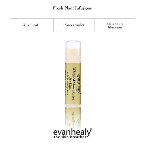 evanhealy - Evanhealy Manteiga de Karité Batida para Lábios | Óleo de Semente de Framboesa Vermelha Orgânico, Cera de Abelha | 100% Natural e Hidratante  Evanhealy