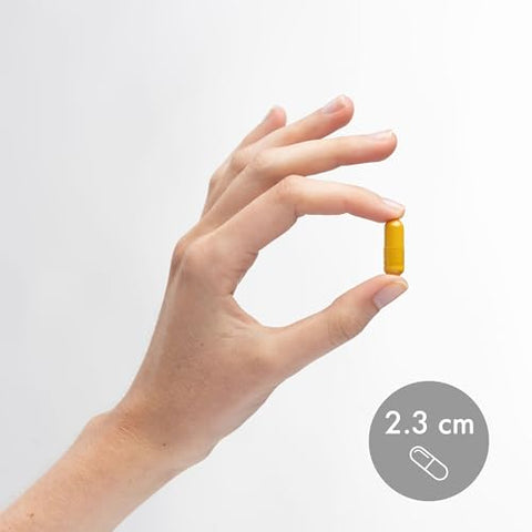 Cúrcuma Orgânica Fermentada, 90 Porções (180 Cápsulas), Suplemento Alimentar, Suporta uma Resposta Inflamatória Saudável, Não-OGM, Certificado Orgânico USDA - Dr. Mercola