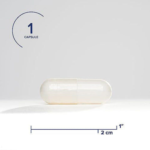 Seeking Health - NAC 500 mg | Ação Detox Poderosa | 90 Cápsulas Fáceis de Engolir | Livre de Alergênicos Comuns |