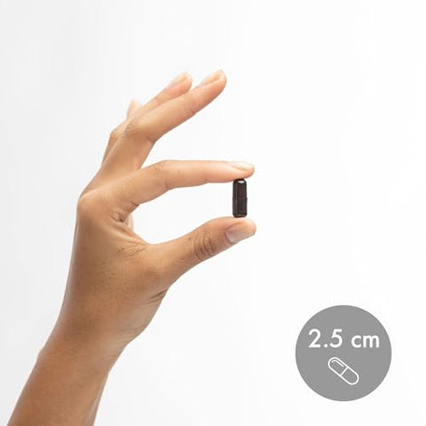 Eye Support – 90 Servings (90 Cápsulas) – Suporte para a Saúde dos Olhos e Visão – Não-OGM - Dr. Mercola