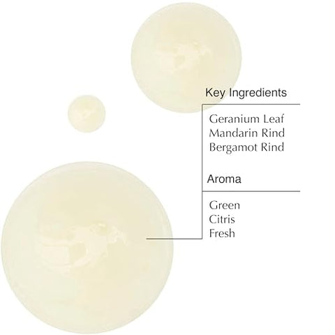 Geranium Leaf Body Cleanser – Gel de Limpeza Revigorante – Alternativa ao Sabonete Convencional – 500 ml - Aesop