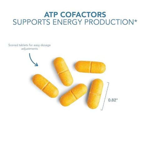 Optimox - Suplemento ATP Cofatores – Complexo de Vitaminas B para Homens | Marca em Destaque