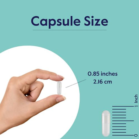 Cognizin 500mg (60 Cápsulas Vegetarianas) – Estudo Clínico de Choline Premium Nootrópico – Sem Estearatos – Vegano – Não Transgênico – Sem Glúten – Citicolina – Suplementos para o Cérebro - BESTVITE