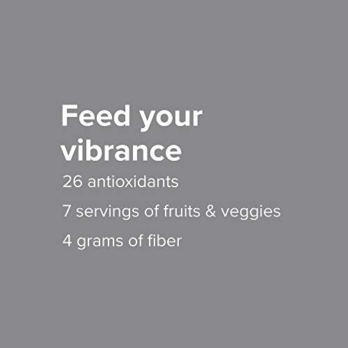 Maximum Vibrance: Shake Vegano Completo com Proteína à Base de Plantas, Chocolate Chunk, 15 Porções – Marca Vibrant Health - Vibrant Health