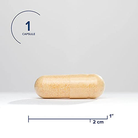 B Complex Plus – Suplemento de Vitamina B com Colina | 60 cápsulas | Marca em Destaque - Seeking Health