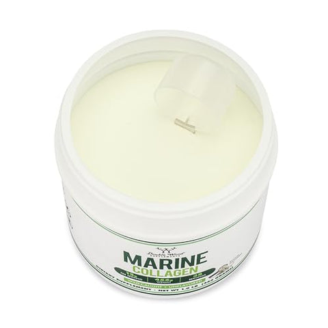 Pó de Colágeno Marinho (454g / 16oz de Peptídeos de Colágeno Marinho de Dissolução Rápida) Selvagem, Sem Sabor, Micronizado – Inclui Medidor, Sem Aditivos (38…) - Double Wood Supplements