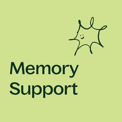 Cápsulas de Suplemento Herbal Ginkgo Biloba, Suporte à Memória – 60 cápsulas - Plant Therapy