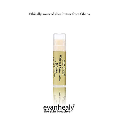 evanhealy - Evanhealy Manteiga de Karité Batida para Lábios | Óleo de Semente de Framboesa Vermelha Orgânico, Cera de Abelha | 100% Natural e Hidratante  Evanhealy