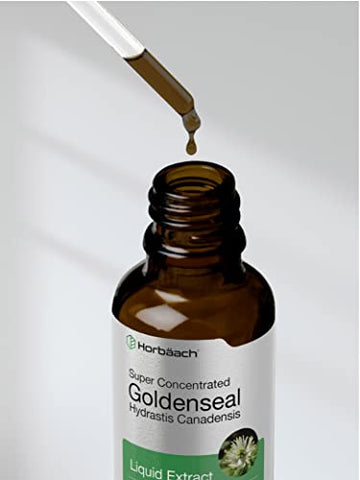 Extrato Líquido de Raiz de Goldenseal Horbäach | 30 ml | Super Concentrado | Livre de Álcool | Vegetariano | Não-OGM | Sem Glúten