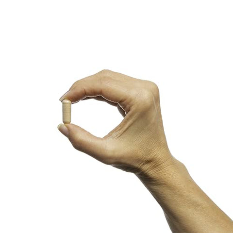 Thyrosol – Suporte à Saúde da Tireoide* – Alívio da Fadiga* – com Iodo, Magnésio – 60 cápsulas - Metagenics