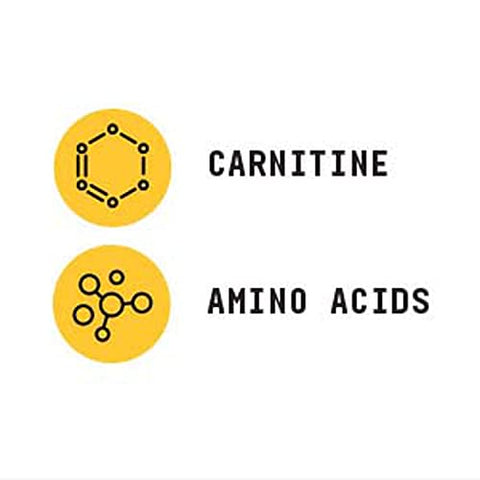 Chemistry Labs L-Carnitine em Pó | Potencializa o Exercício e Auxilia na Recuperação | 30 Porções - BEYOND RAW