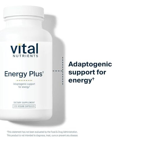 Energy Plus | Suporte Energético Herbal Não Estimulante | Estimula o Mental | 60 cápsulas - Vital Nutrients