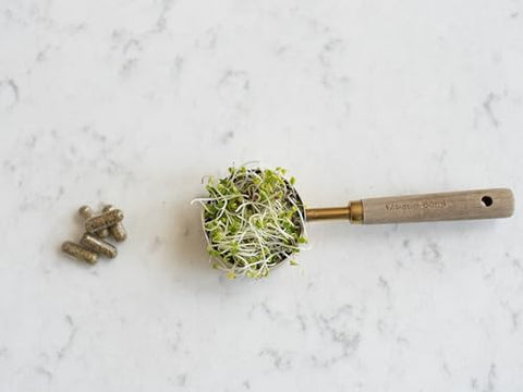 Cápsulas de Broto de Brócolis Orgânico dos EUA: 1 Porção = 1/4 xícara de brotos, Liofilizado, Testado por Terceiros: Mirozinase Ativa e Glucorafanina (Glucosinolato de Sulforafano), 150g - KOYAH