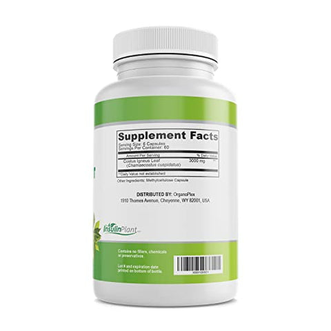 ORGANOPLEX - Cápsulas de Insulina Vegetal (Costus Igneus), Suplemento 100% Natural, 360 Cápsulas Vegetais (2 Meses de Fornecimento) – Insulina Vegetal