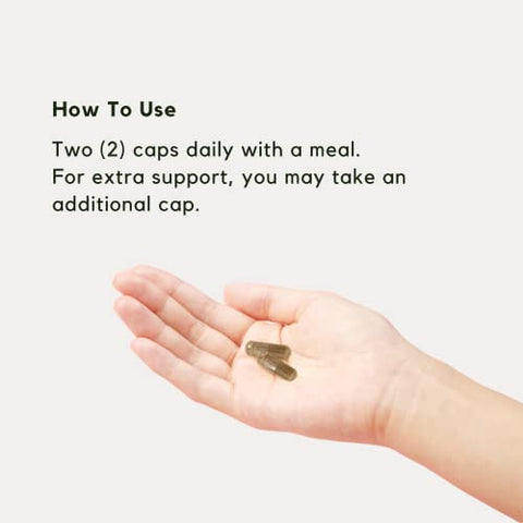 FOCUS – Suplemento Natural para Memória, Foco, Aprendizado, Atenção e Cognição – Ginkgo Biloba, Bacopa, Gotu Kola, Ashwagandha, Mucuna – 60 cápsulas - PALO