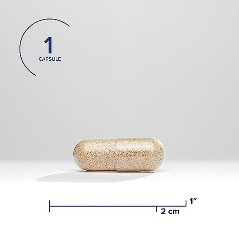 Adrenal Cortex: Suporte para um Sistema Nervoso Saudável – 60 cápsulas de 500mg - Seeking Health