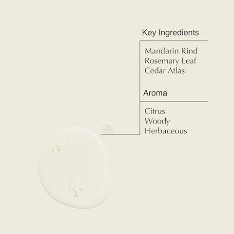 Resurrection Aromatique Hand Wash – Sabonete Líquido Suave com Óleos de Laranja, Alecrim e Lavanda – 500 ml - Aesop