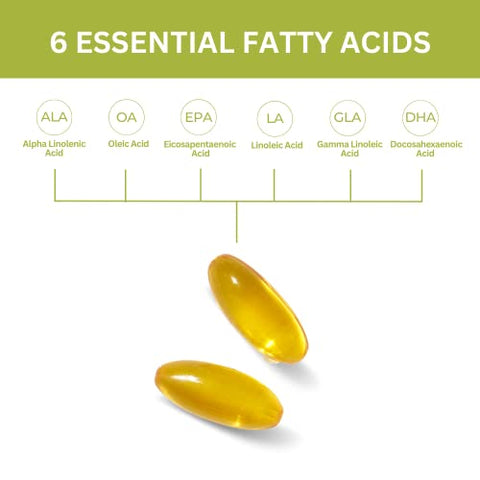 Ultimate EFA Plus – Ácidos Graxos Essenciais, 90 Soft Gels – Fórmula Balanceada de Óleo de Peixe para Saúde do Coração, Cérebro, Articulações e Pele – Suplemento de Ômega-3, Ômega-6, Ômega-9 para - Youngevity