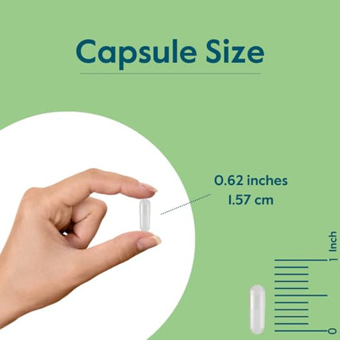 Zinco Quelato 50mg (240 Cápsulas Vegetarianas) – Sem Estearatos – Sem Fosfato Dicálcico – Vegano – Não Transgênico – Sem Glúten - BESTVITE