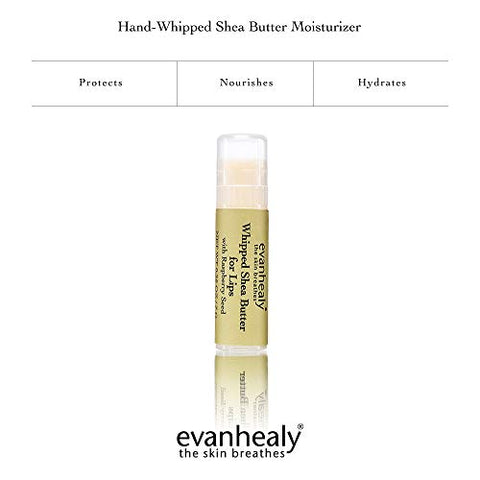evanhealy - Evanhealy Manteiga de Karité Batida para Lábios | Óleo de Semente de Framboesa Vermelha Orgânico, Cera de Abelha | 100% Natural e Hidratante  Evanhealy