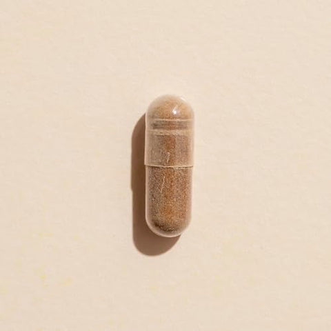Cápsulas de Suplemento Herbal Brain Boost, Suporte à Memória – 60 cápsulas - Plant Therapy