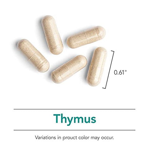 Thymus – Suplemento de Tecido de Timo, Extrato Glandular, 1000mg de Glândula de Timo Crua, Ovina, Liofilizada, Hipoalergênica – 75 Unidades - Nutricology