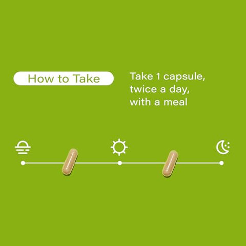 Enzimas Digestivas Prebióticos – Melhore sua digestão naturalmente - HUM