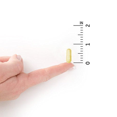 21 Poderosas Enzimas Digestivas com Papaína, Bromelina, Lipase, Gengibre, Cúrcuma para Digestão Completa de Proteínas e Carboidratos – 100% Eficiente - Garden of Life