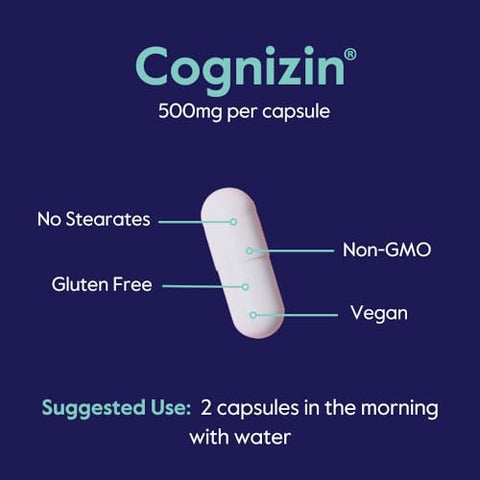 Cognizin 500mg (120 Cápsulas Vegetarianas) (60×2) – Estudo Clínico de Choline Nootropic Premium – Sem Estearatos – Vegano – Não Transgênico – Livre de Glúten – Suplementos para o Cérebro - BESTVITE