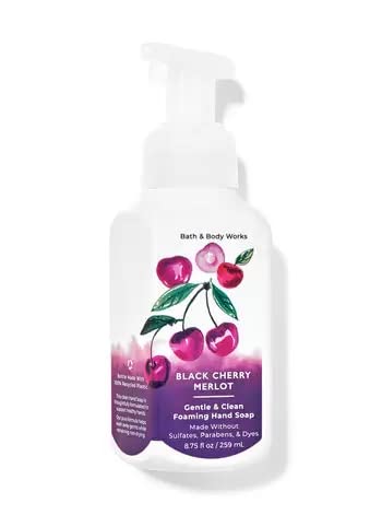 Bath & Body Works - Bath and Body Works – Conjunto de 5 Sabonetes Líquidos Espumantes (Fresh)